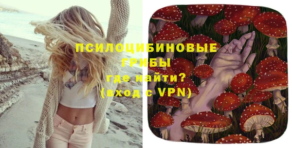 spice Лабытнанги