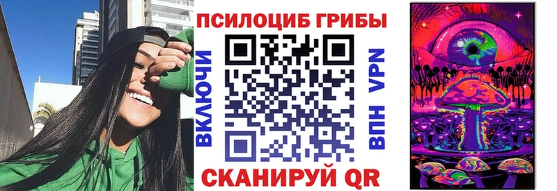 Купить  Кремёнки  Псилоцибиновые грибы MAGIC MUSHROOMS 